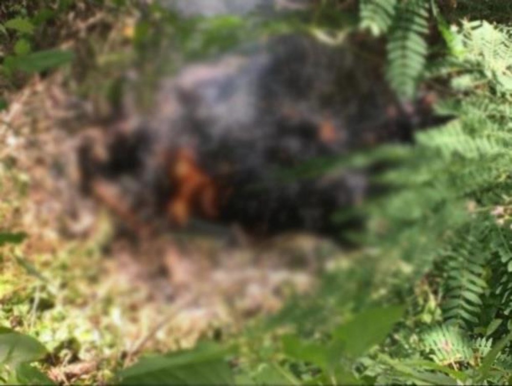 hallan-cadaver-de-mujer-ardiendo-en-llamas-en-veron