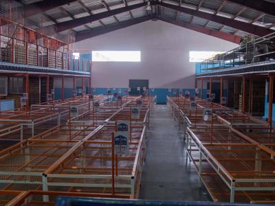 Vendedores del mercado de Herrera serán reubicados