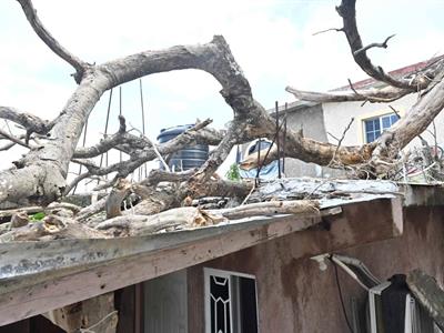 Huracán Melissa golpea hogar del 80 % de dominicanos en Jamaica